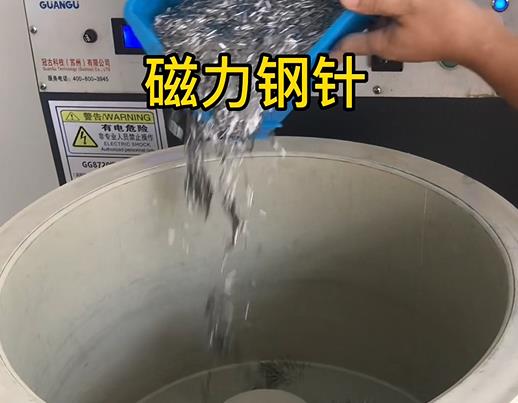 雨城不锈钢箍用钢针